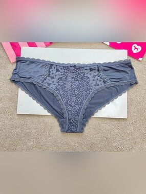 Victoria’s Secret Sexy BBV Gray Lace Trim Satin Hiphugger Panties XL